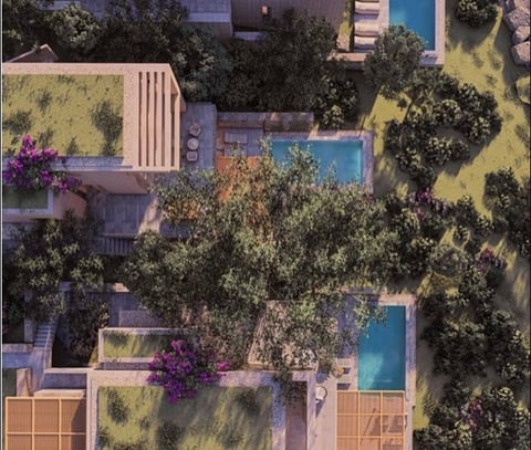 Aerial view of a residential complex with swimming pools, lush landscaping, and purple flowering plants surrounded by green trees